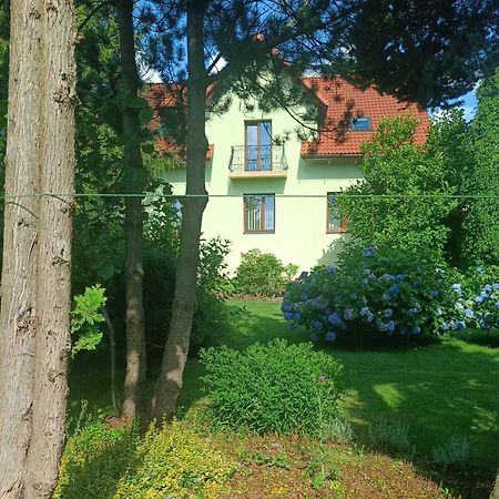 Pod Modrzewiami Apartment Milowka Bagian luar foto