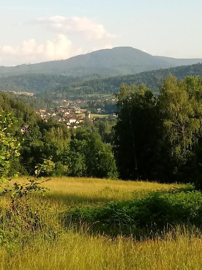 Pod Modrzewiami Apartment Milowka Bagian luar foto