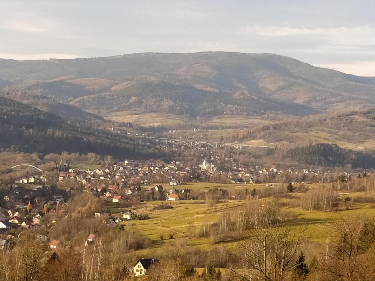 Pod Modrzewiami Apartment Milowka Bagian luar foto