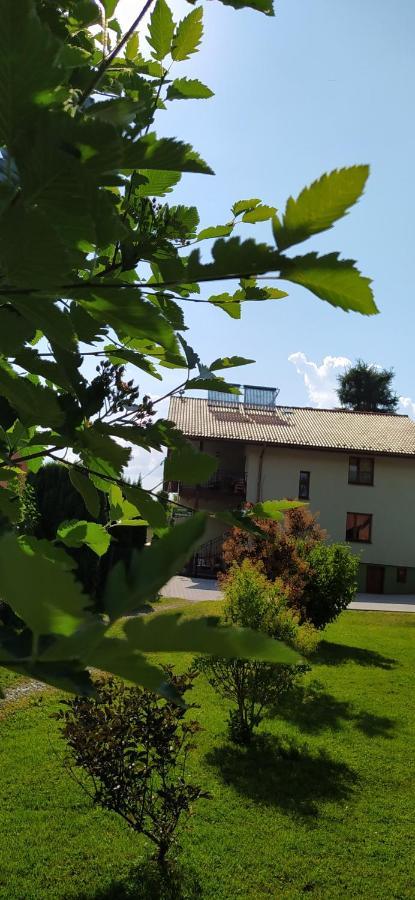 Pod Modrzewiami Apartment Milowka Bagian luar foto