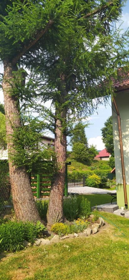 Pod Modrzewiami Apartment Milowka Bagian luar foto