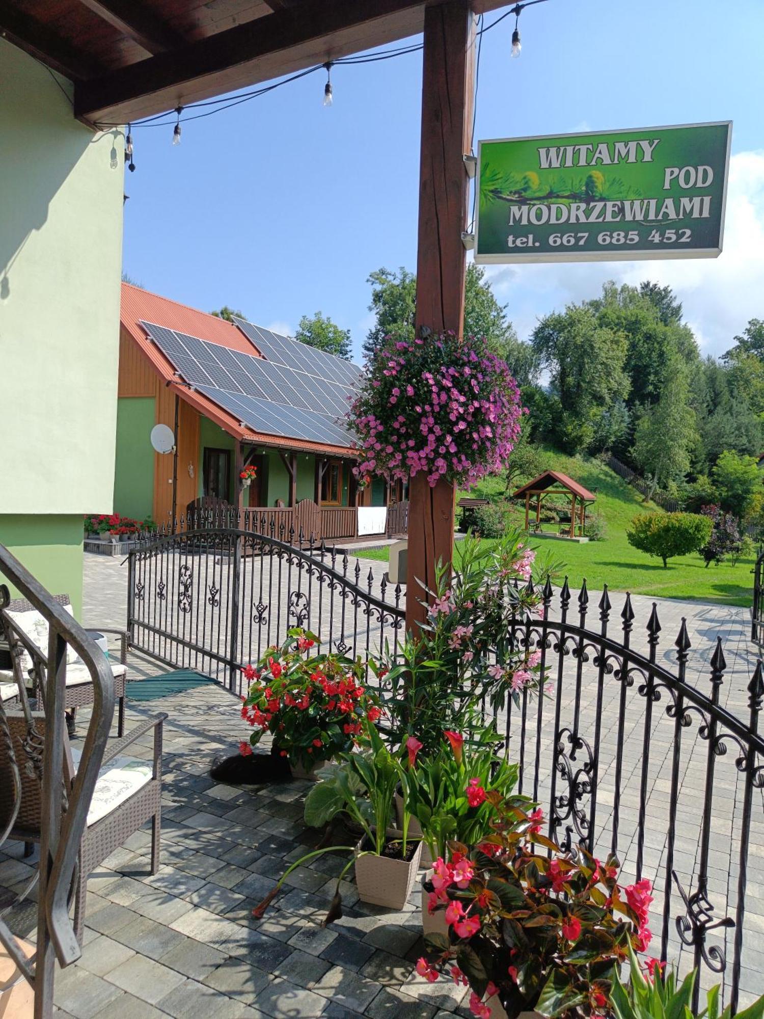 Pod Modrzewiami Apartment Milowka Bagian luar foto