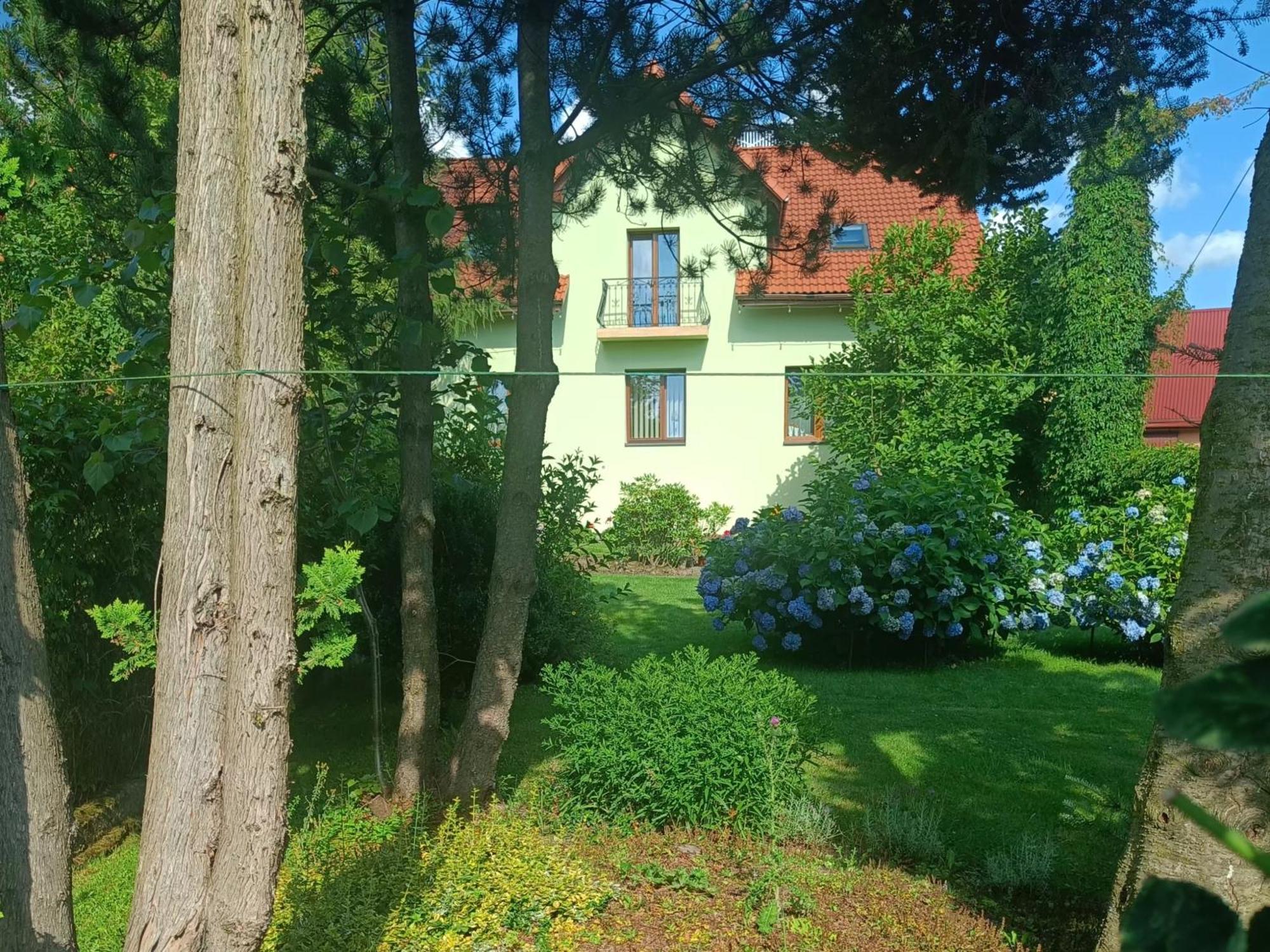 Pod Modrzewiami Apartment Milowka Bagian luar foto